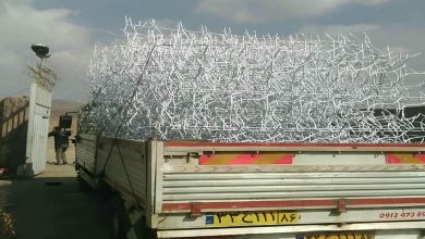 حفاظ شاخ گوزنی در کمال شهر