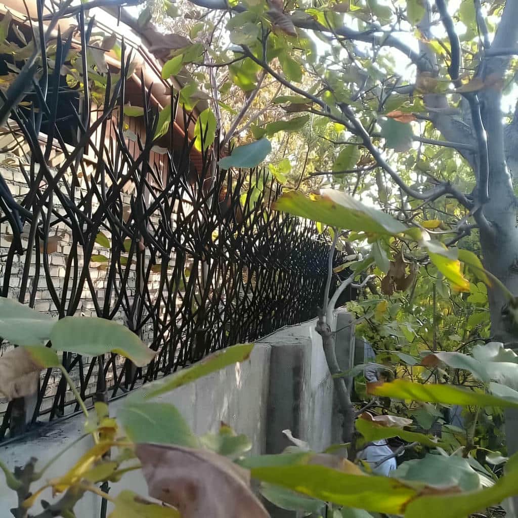 قیمت حفاظ شاخ گوزنی ارتفاع مناسب در بابل