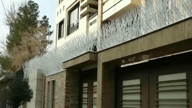 حفاظ شاخ گوزنی در آمل