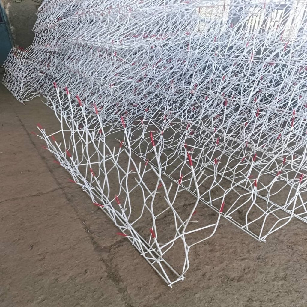 حفاظ شاخ گوزنی در نظرآباد