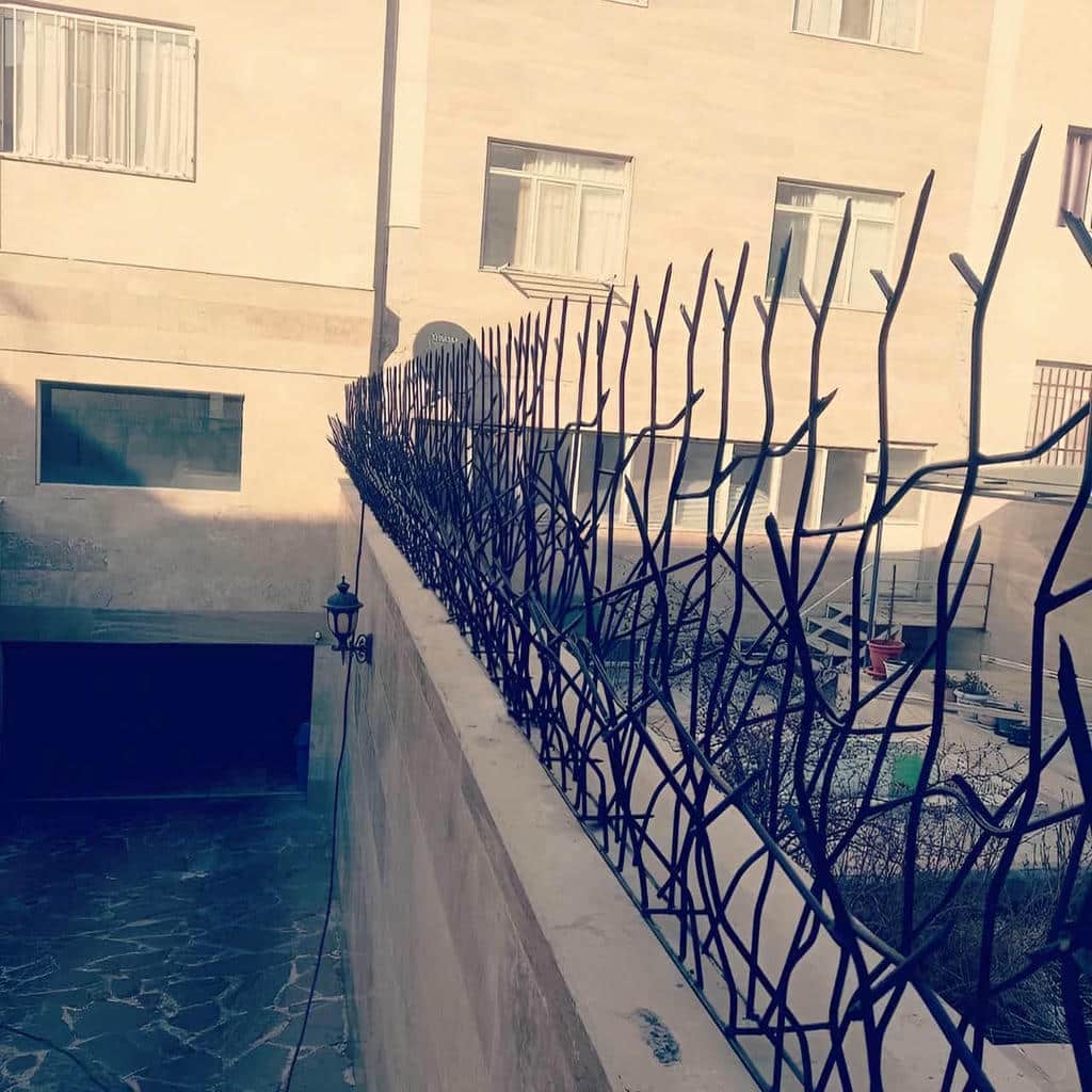 قیمت حفاظ شاخ گوزنی دیوار ویلا در بیرجند