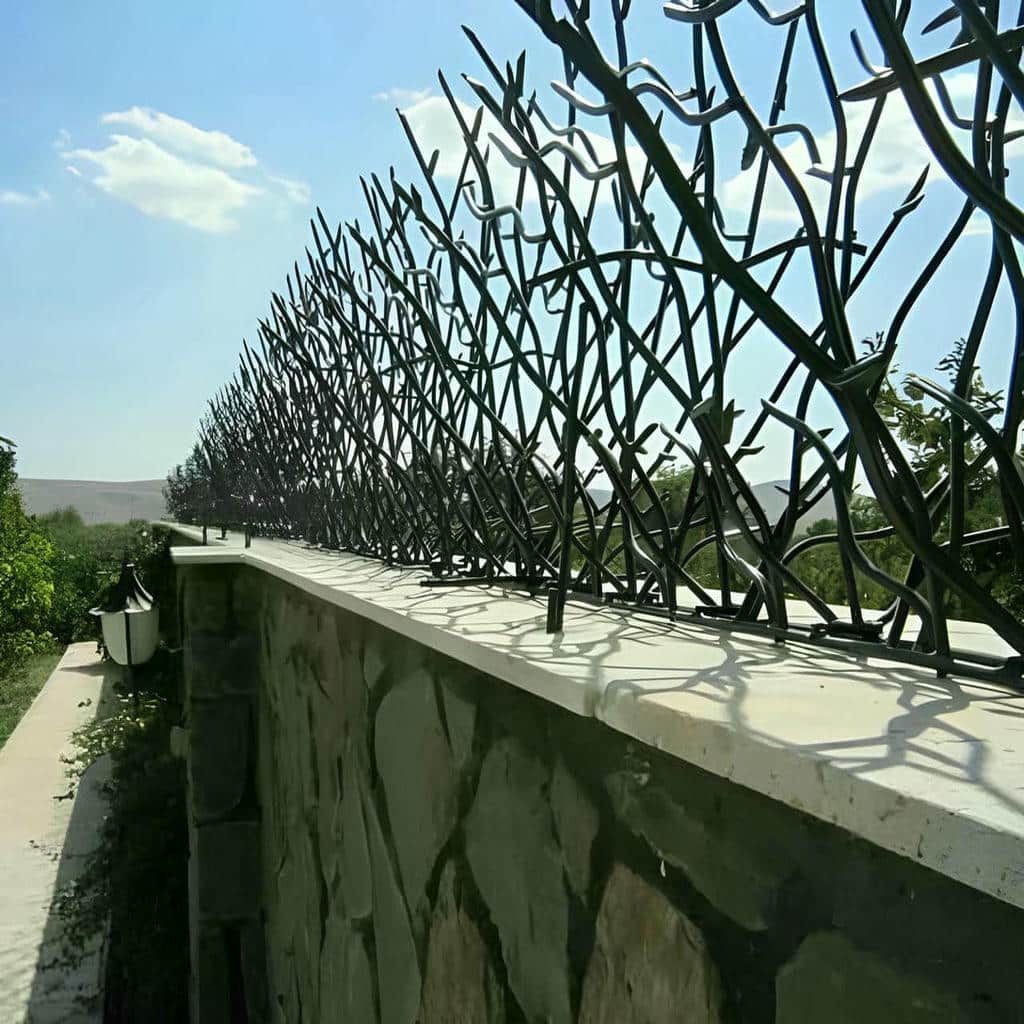 حفاظ شاخ گوزنی در کیش