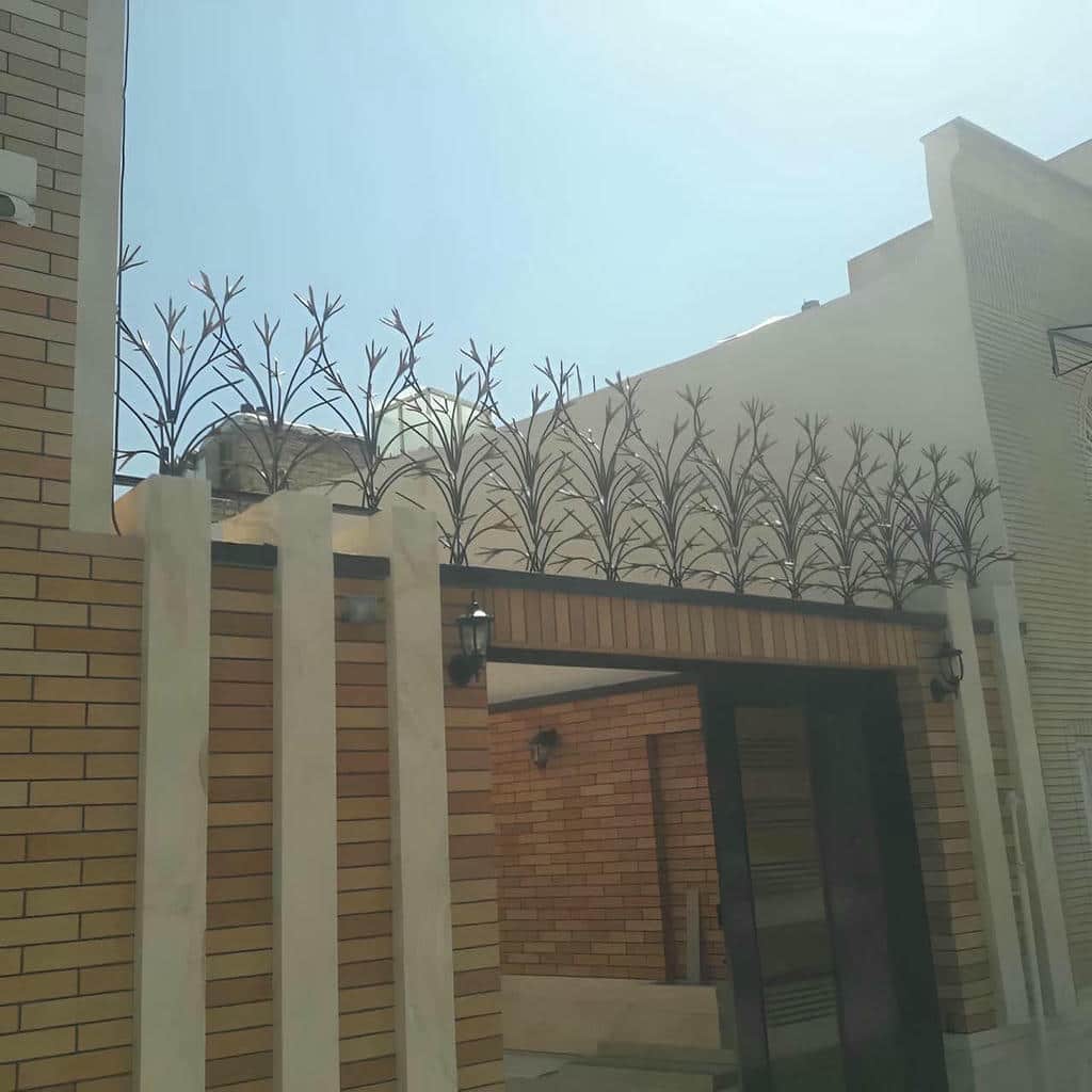 حفاظ شاخ گوزنی در کرج