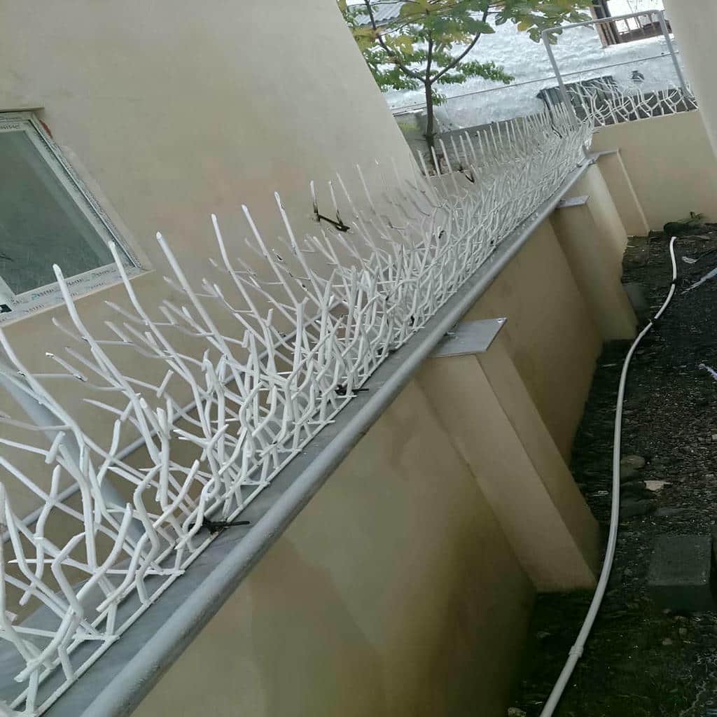 کارخانه حفاظ شاخ گوزنی میلگرد محکم در استان خوزستان