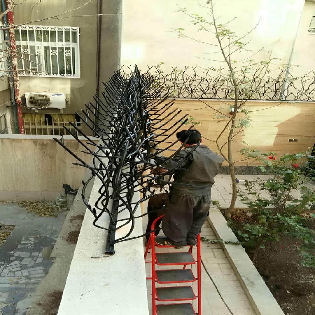 حفاظ شاخ گوزنی در فشم