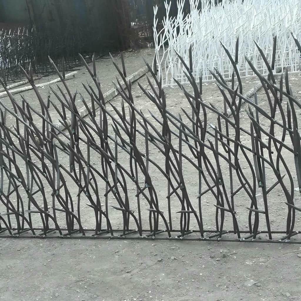 حفاظ شاخ گوزنی در فیروزکوه