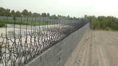 حفاظ شاخ گوزنی در دماوند