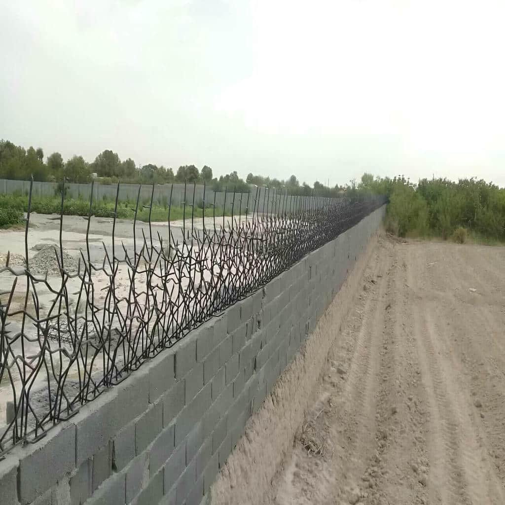 حفاظ شاخ گوزنی در دماوند