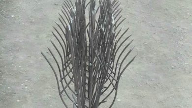 حفاظ شاخ گوزنی در بندرعباس