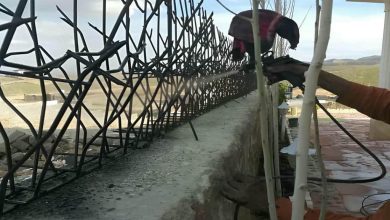 حفاظ شاخ گوزنی در بندر انزلی