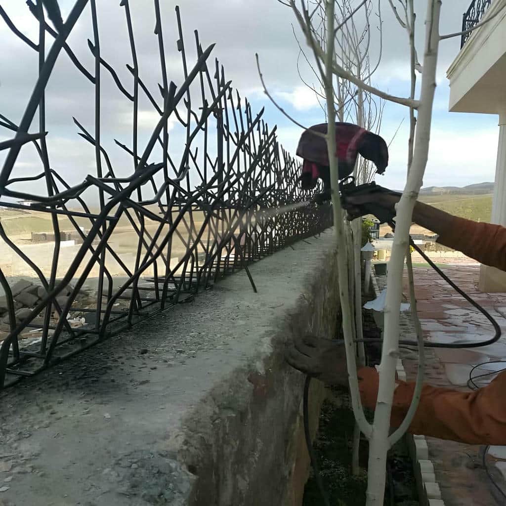 حفاظ شاخ گوزنی در بندر انزلی