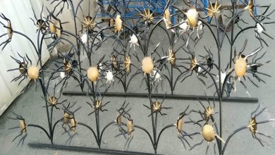 حفاظ شاخ گوزنی در محمودآباد