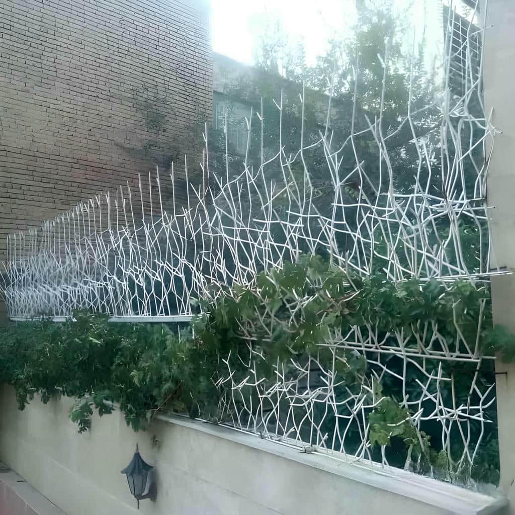 قیمت حفاظ شاخ گوزنی ویلایی در پرند