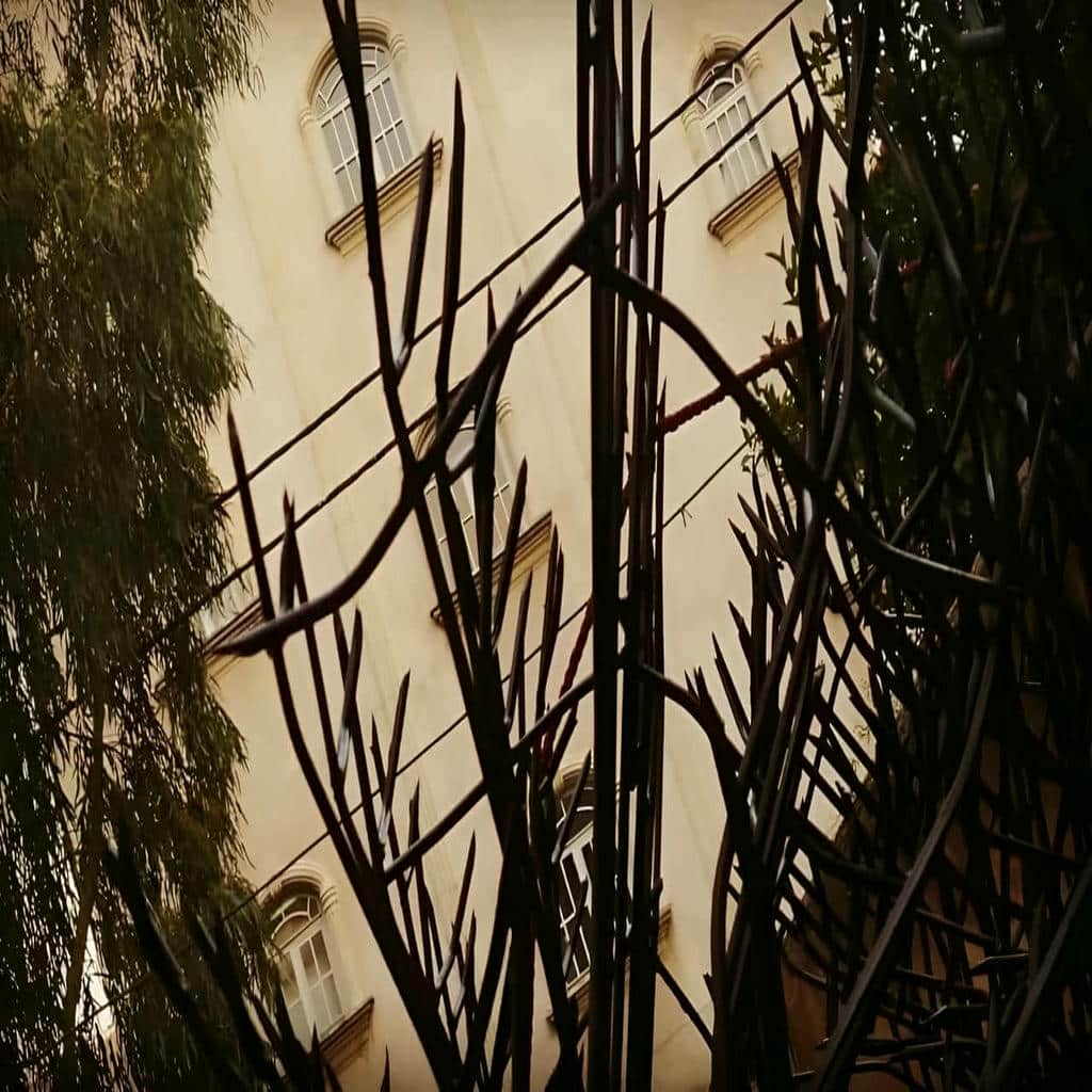 حفاظ شاخ گوزنی در خرم آباد