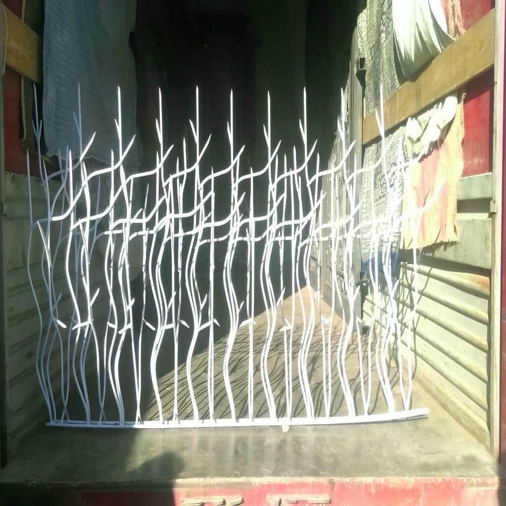 حفاظ شاخ گوزنی در یاسوج