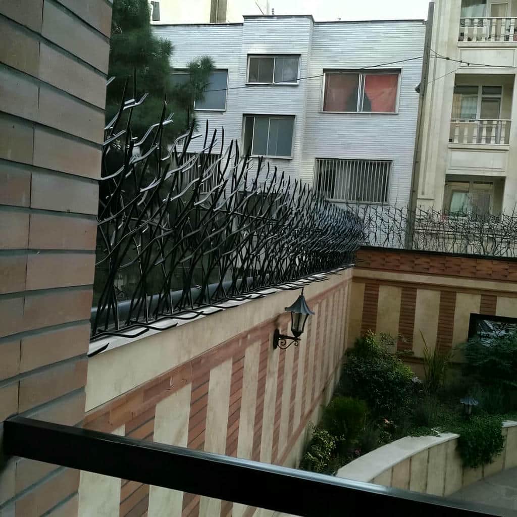 قیمت حفاظ شاخ گوزنی ویلایی در بومهن