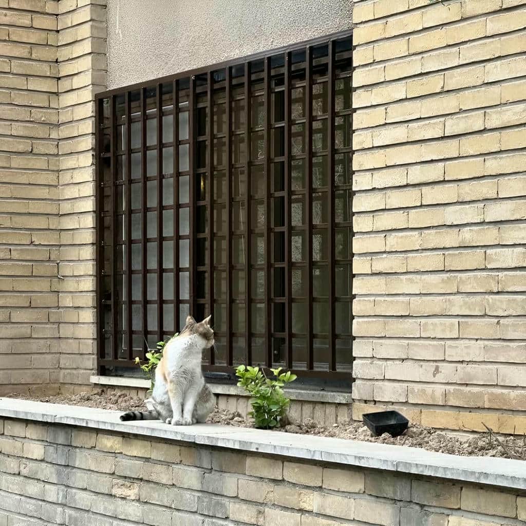 خرید نرده حفاظ پنجره ساده در کرمان