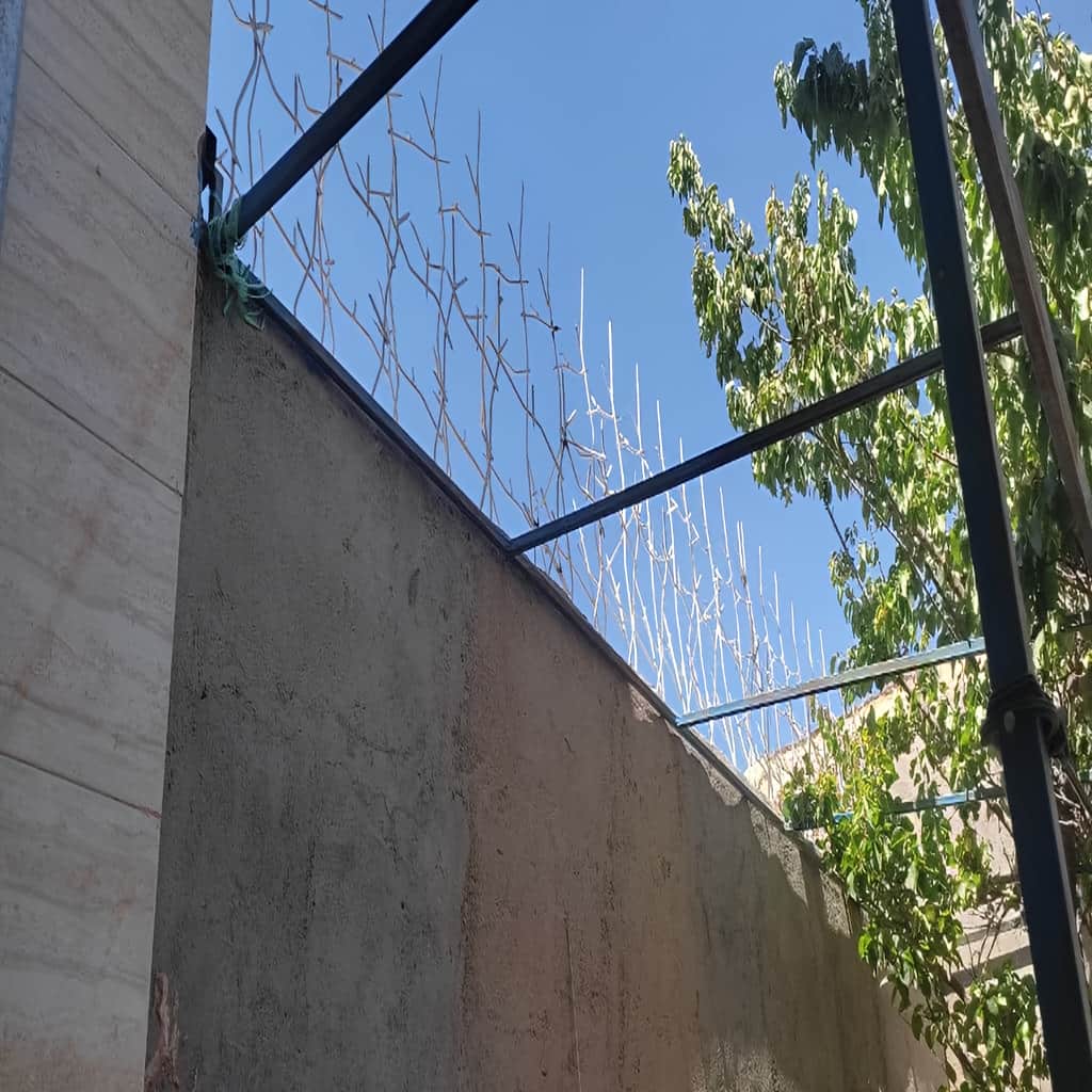 حفاظ ایام سفر با حفاظ دیوار شاخ گوزنی