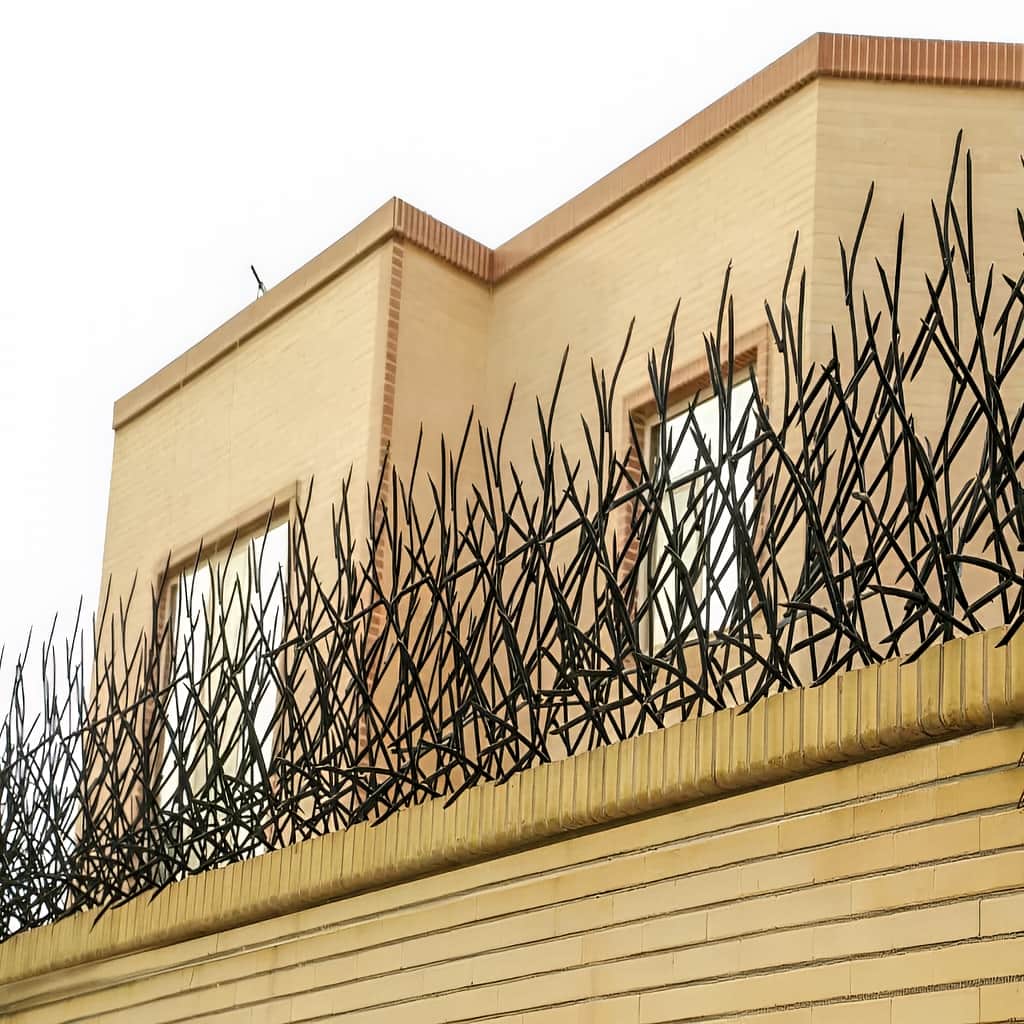 نصب حفاظ بوته ای پرتراکم روی تاج دیوار
