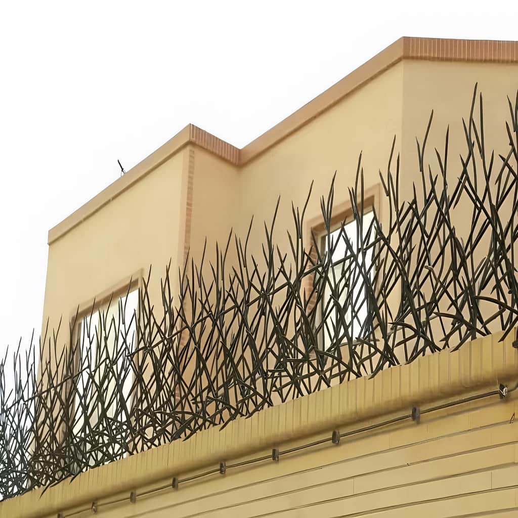 خدمات نصب حفاظ بوته ای پرتراکم برای دیوار سنگی