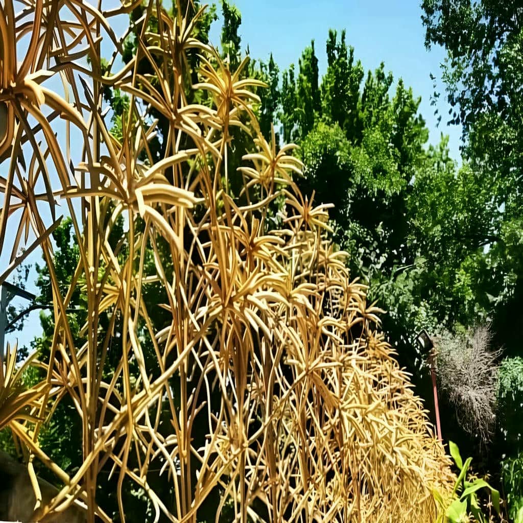 اهمیت حفاظ دیوار برای ایمنی و دوام ساختمان
