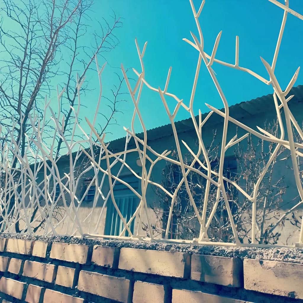 حفاظ دیوار شاخ گوزنی مشکی کنار باغ استان سمنان