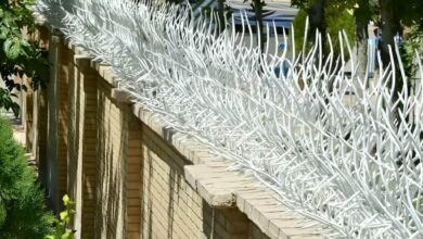 حفاظ دیوار تهران با طرح شاخ گوزنی