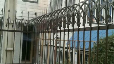 حفاظ دیوار شاخ گوزنی مشکی روی حیاط استان آذربایجان غربی